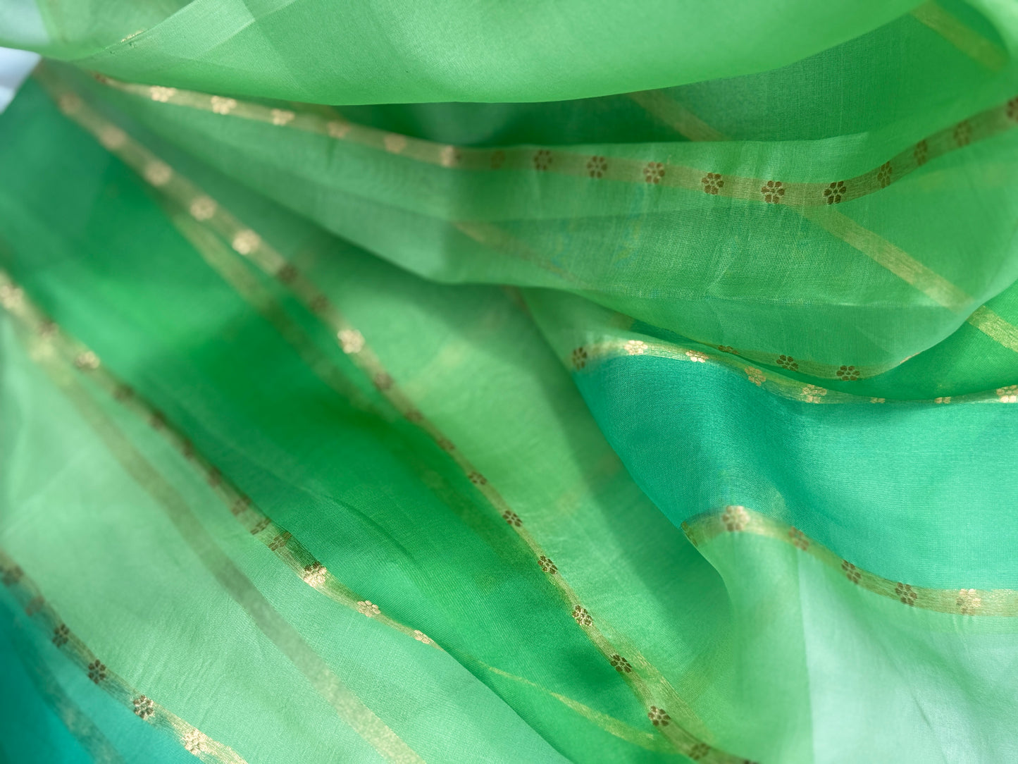 Green Organza with Zari detail