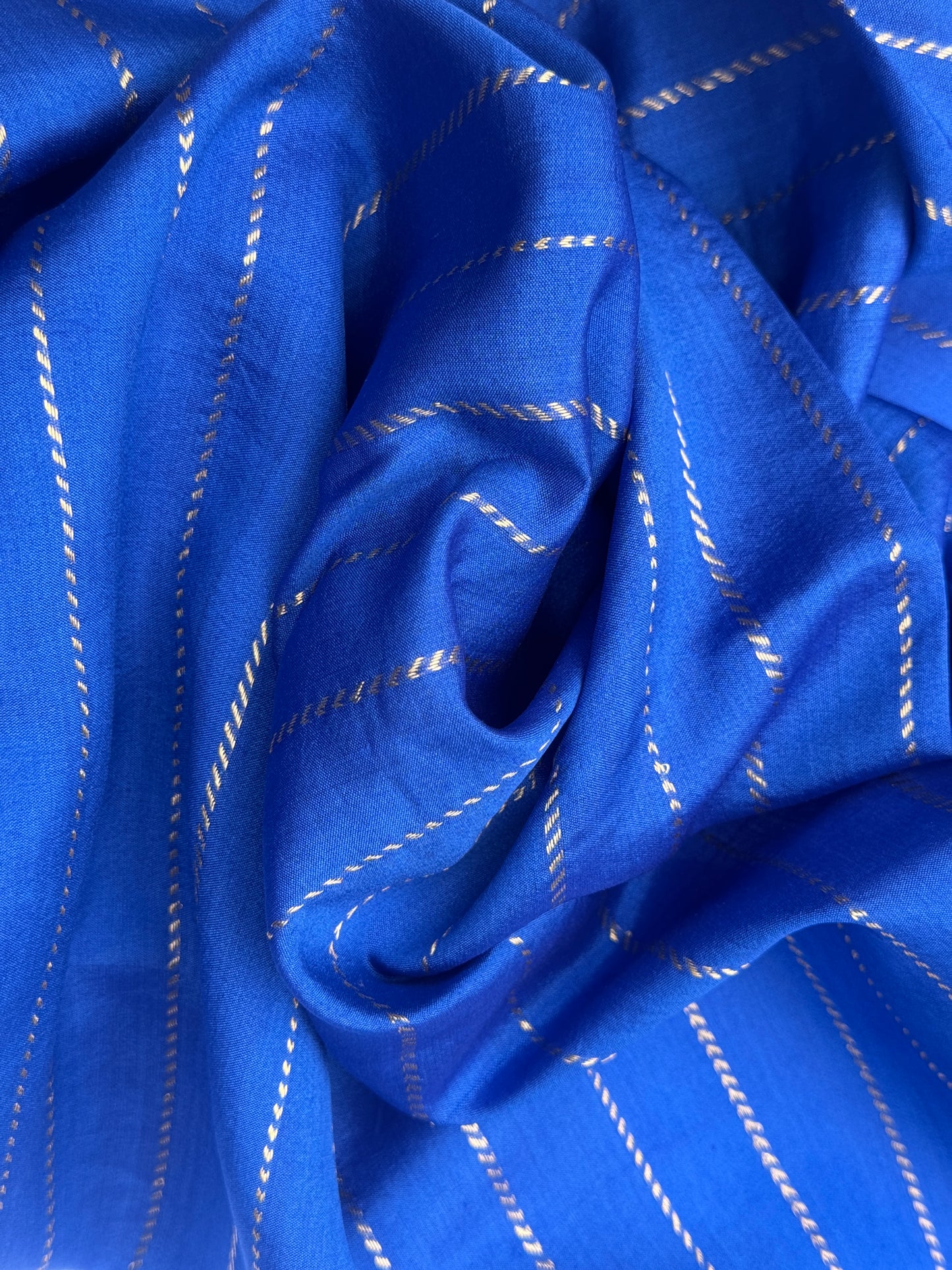 Blue Organza with Zari detail