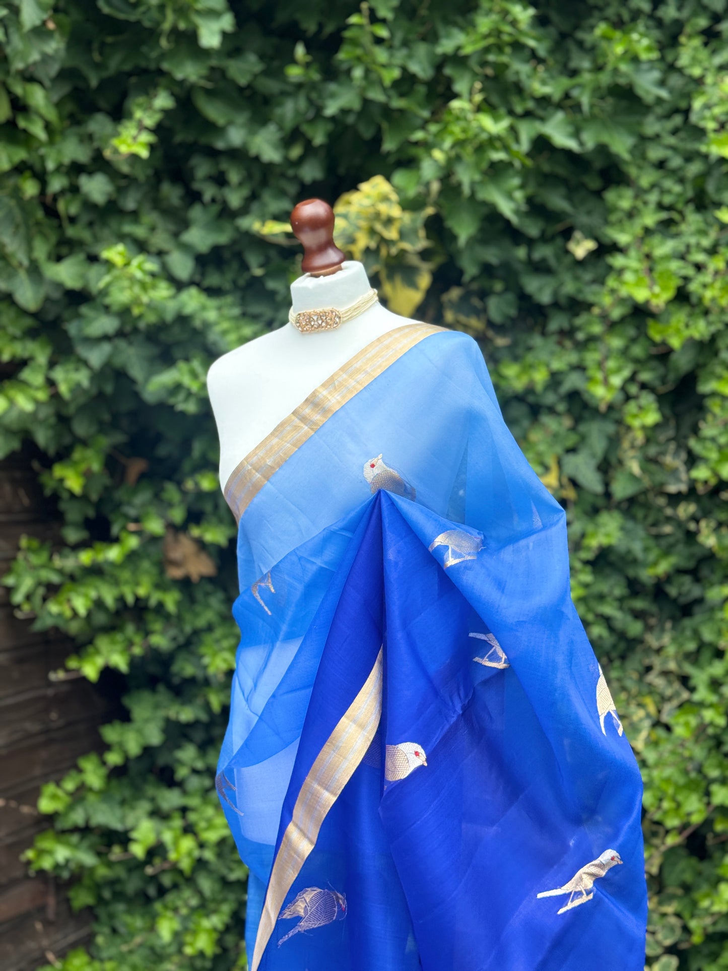Blue Organza with Zari detail