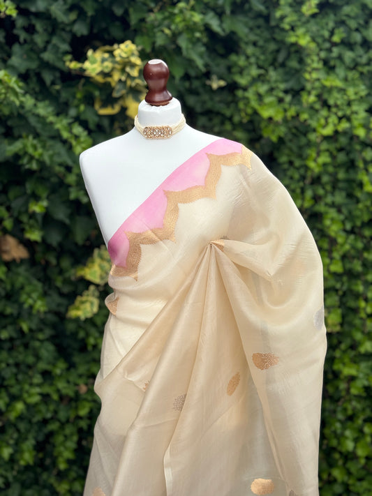 Cream Organza with Zari detail