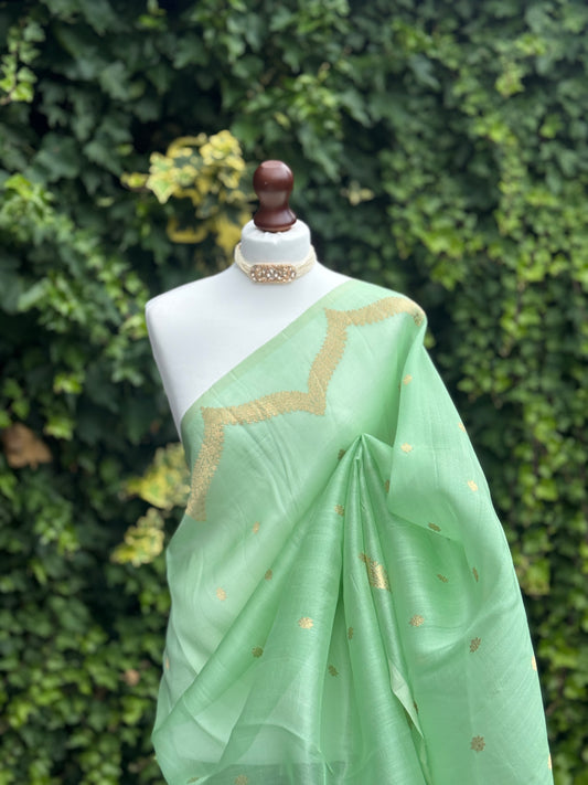 Green Ombre Organza with Zari detail